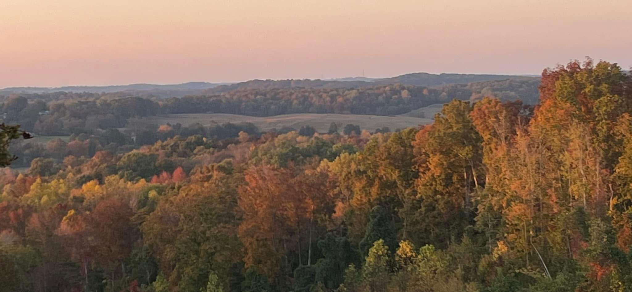 246 County Rd 655, Athens, Tennessee image 47