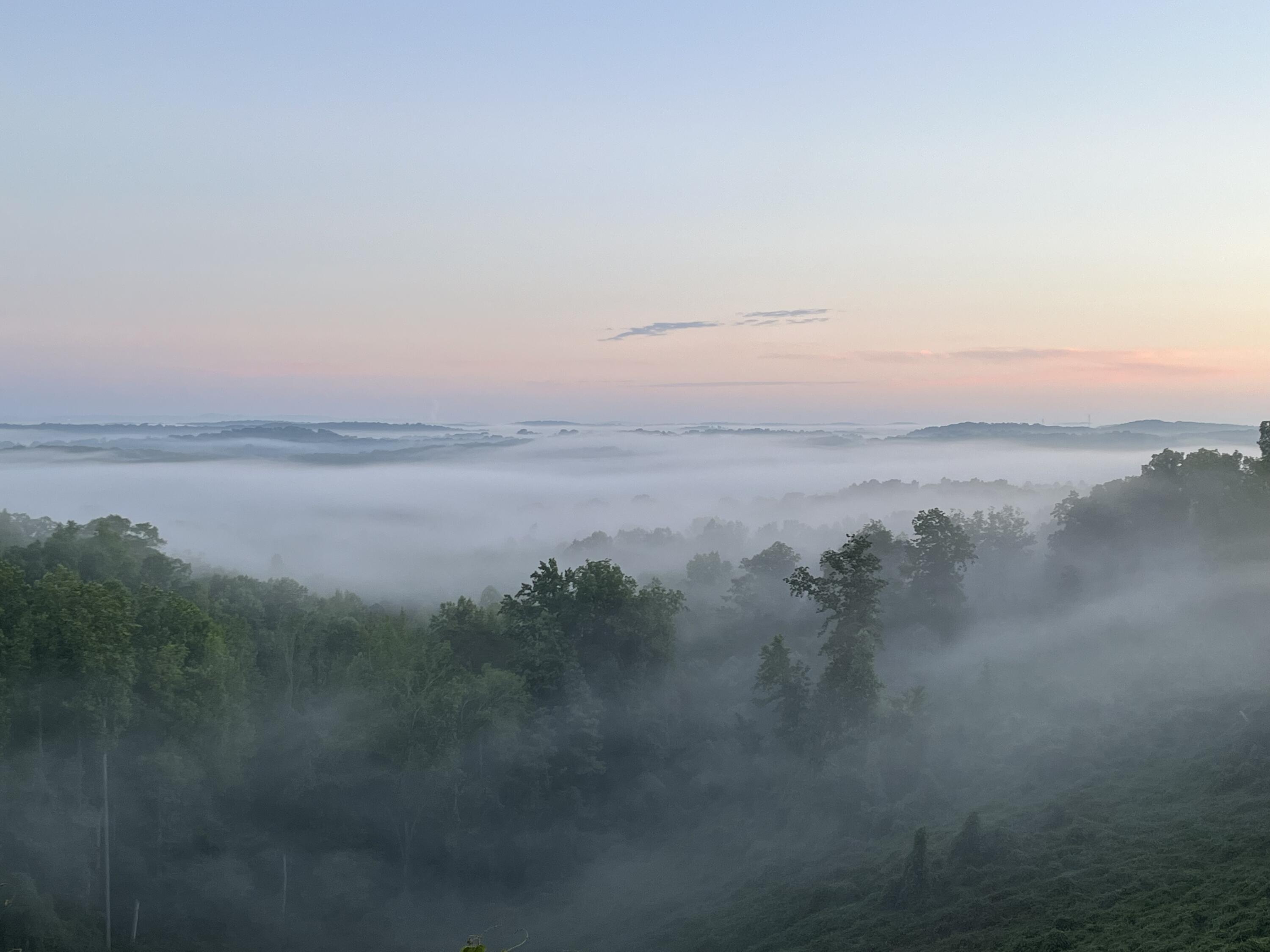 246 County Rd 655, Athens, Tennessee image 42