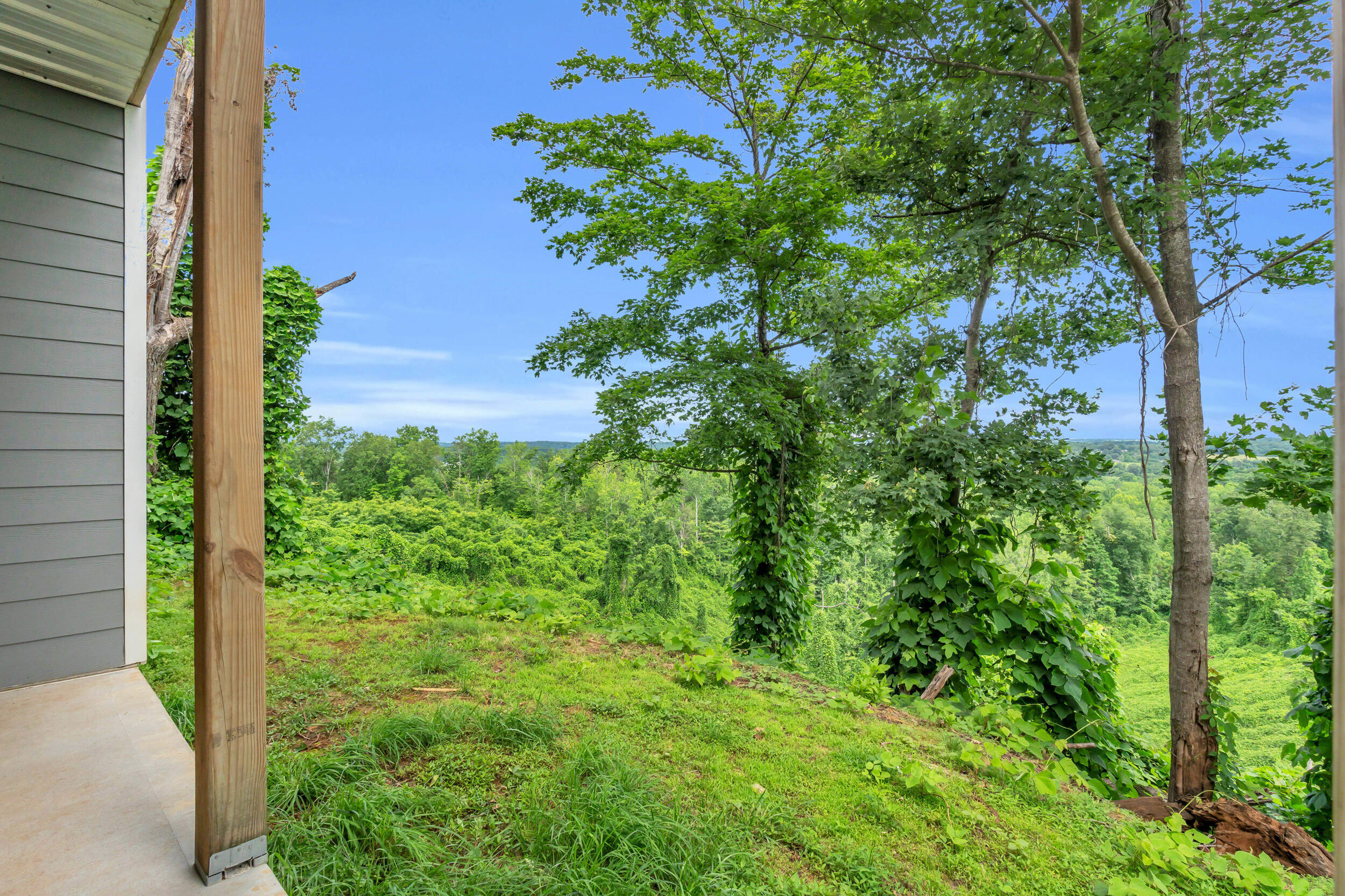 246 County Rd 655, Athens, Tennessee image 41