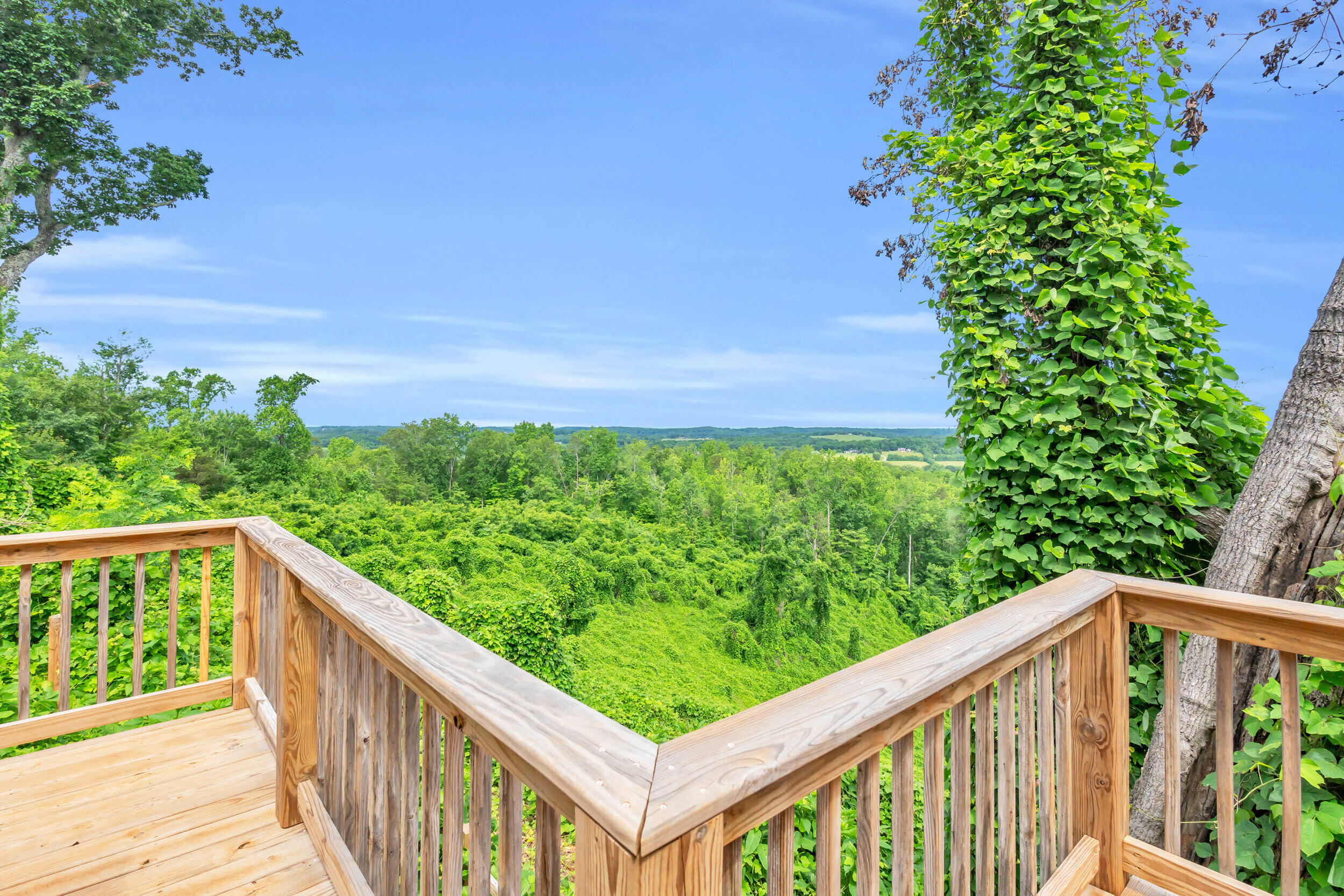 246 County Rd 655, Athens, Tennessee image 29