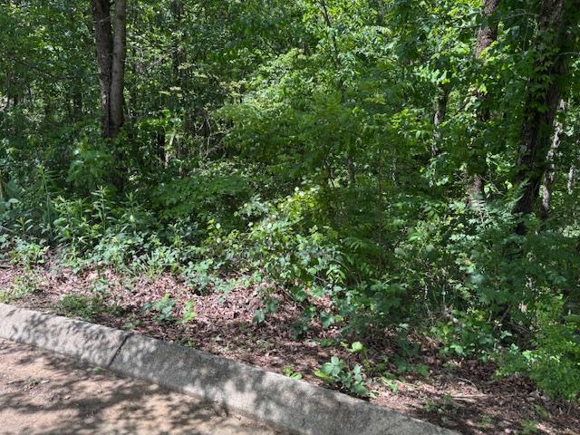 Lot 43 Sun High Court, Cleveland, Tennessee image 2