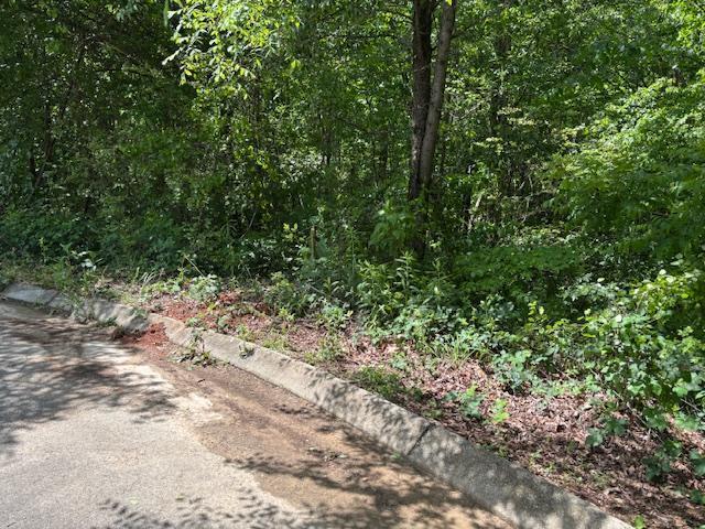 Lot 43 Sun High Court, Cleveland, Tennessee image 3