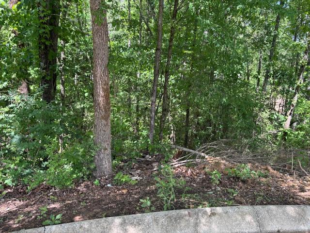 Lot 43 Sun High Court, Cleveland, Tennessee image 1