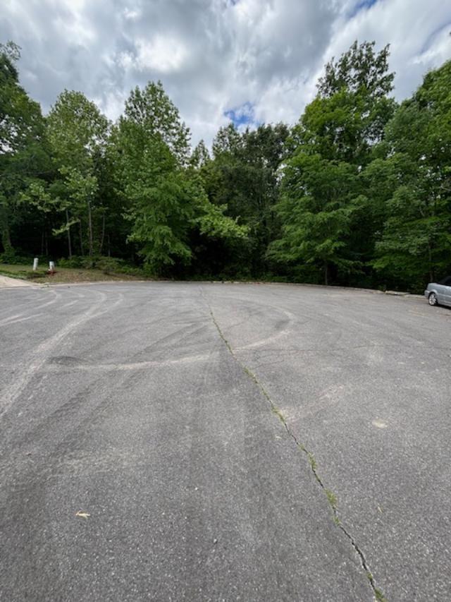 Lot 43 Sun High Court, Cleveland, Tennessee image 4