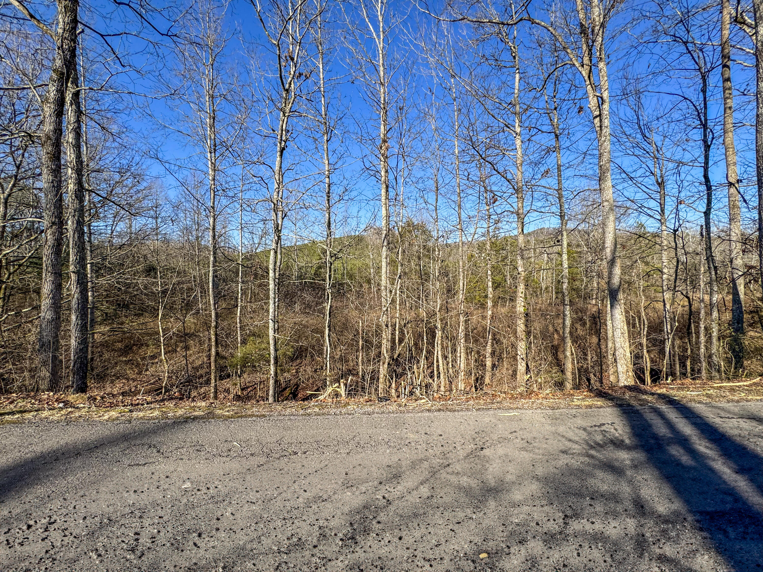 White Oak Valley Road, Cleveland, Tennessee image 11