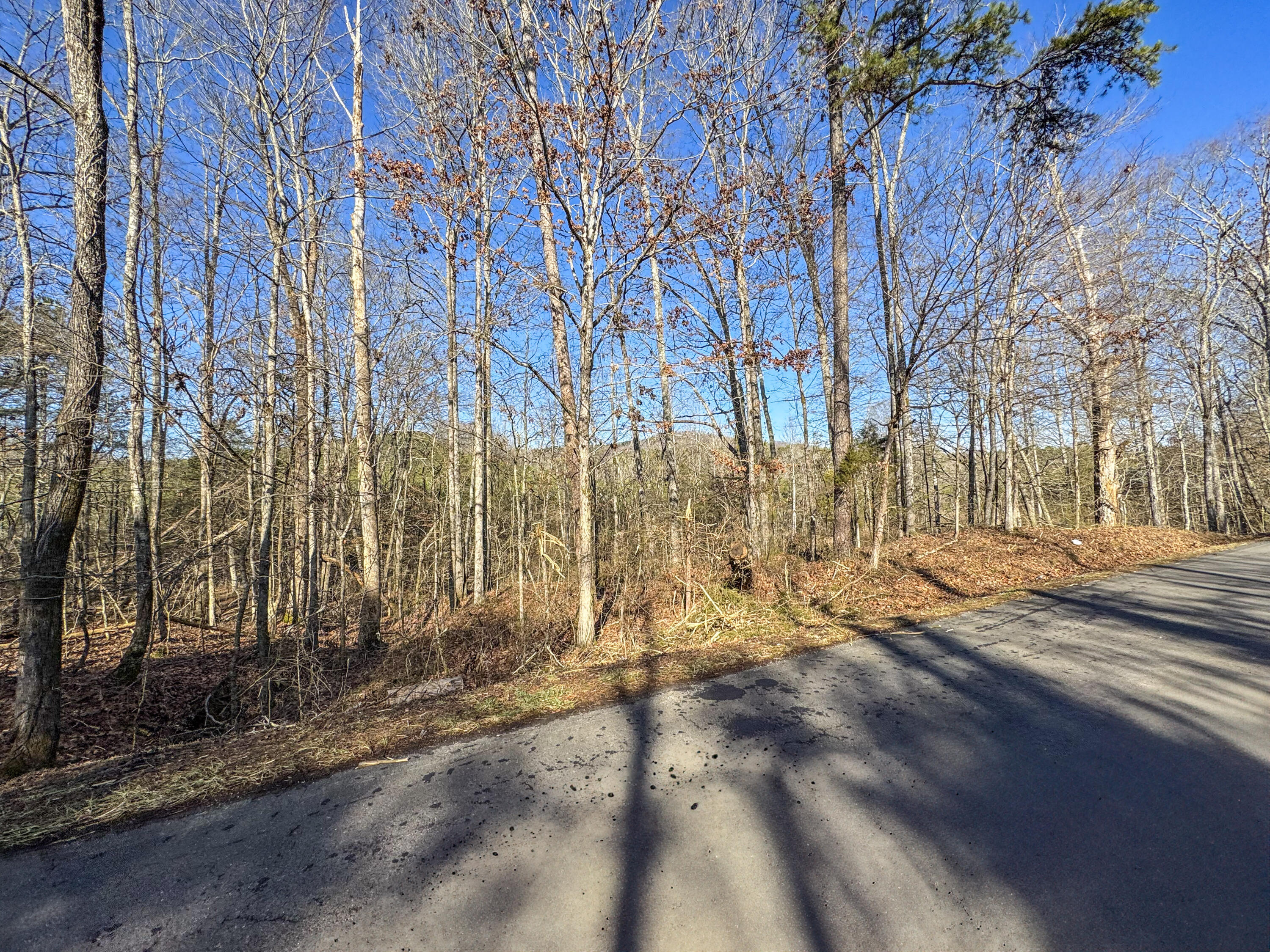 White Oak Valley Road, Cleveland, Tennessee image 7