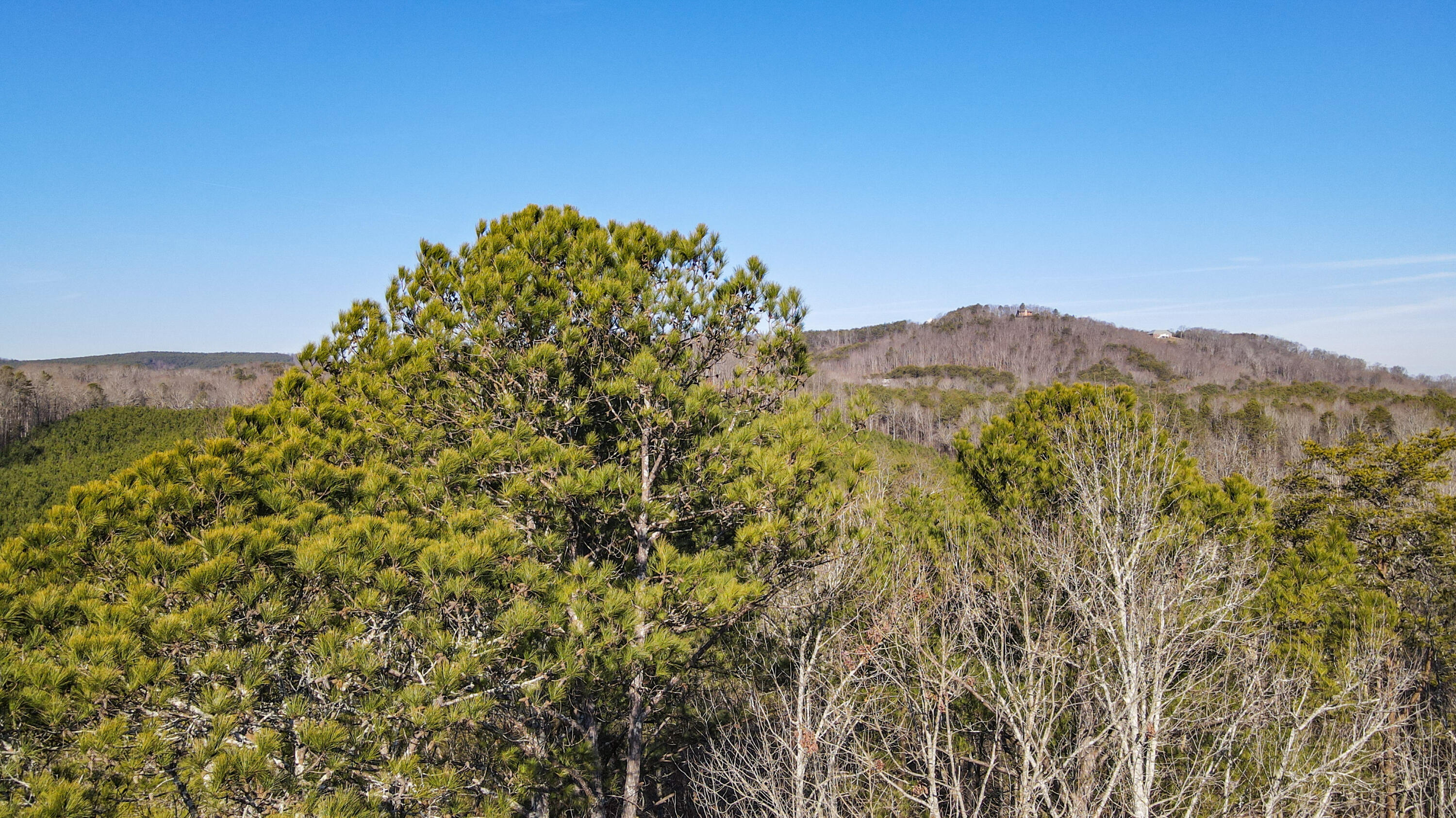 White Oak Valley Road, Cleveland, Tennessee image 6