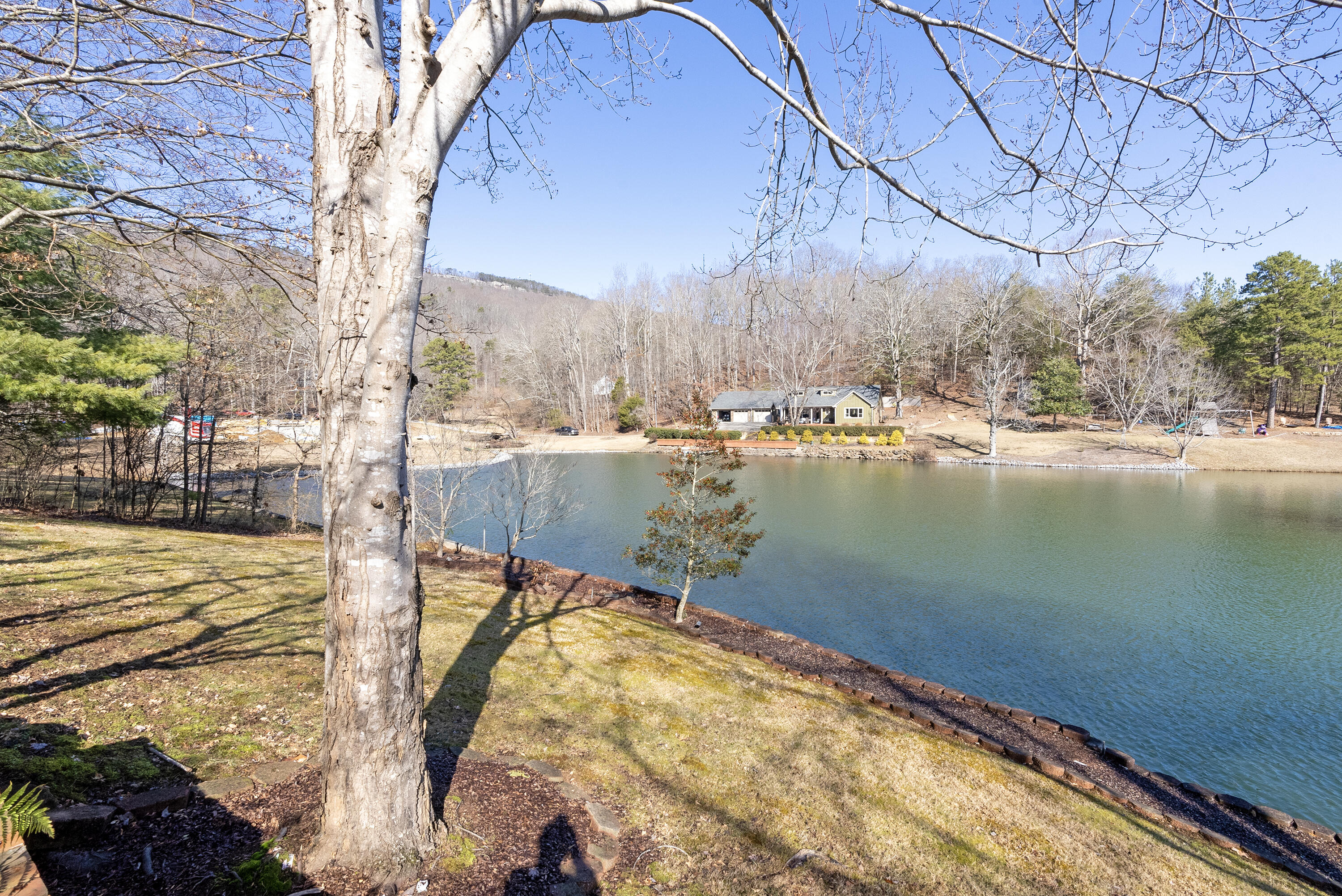 294 Lake Hills Drive, Trenton, Georgia image 6