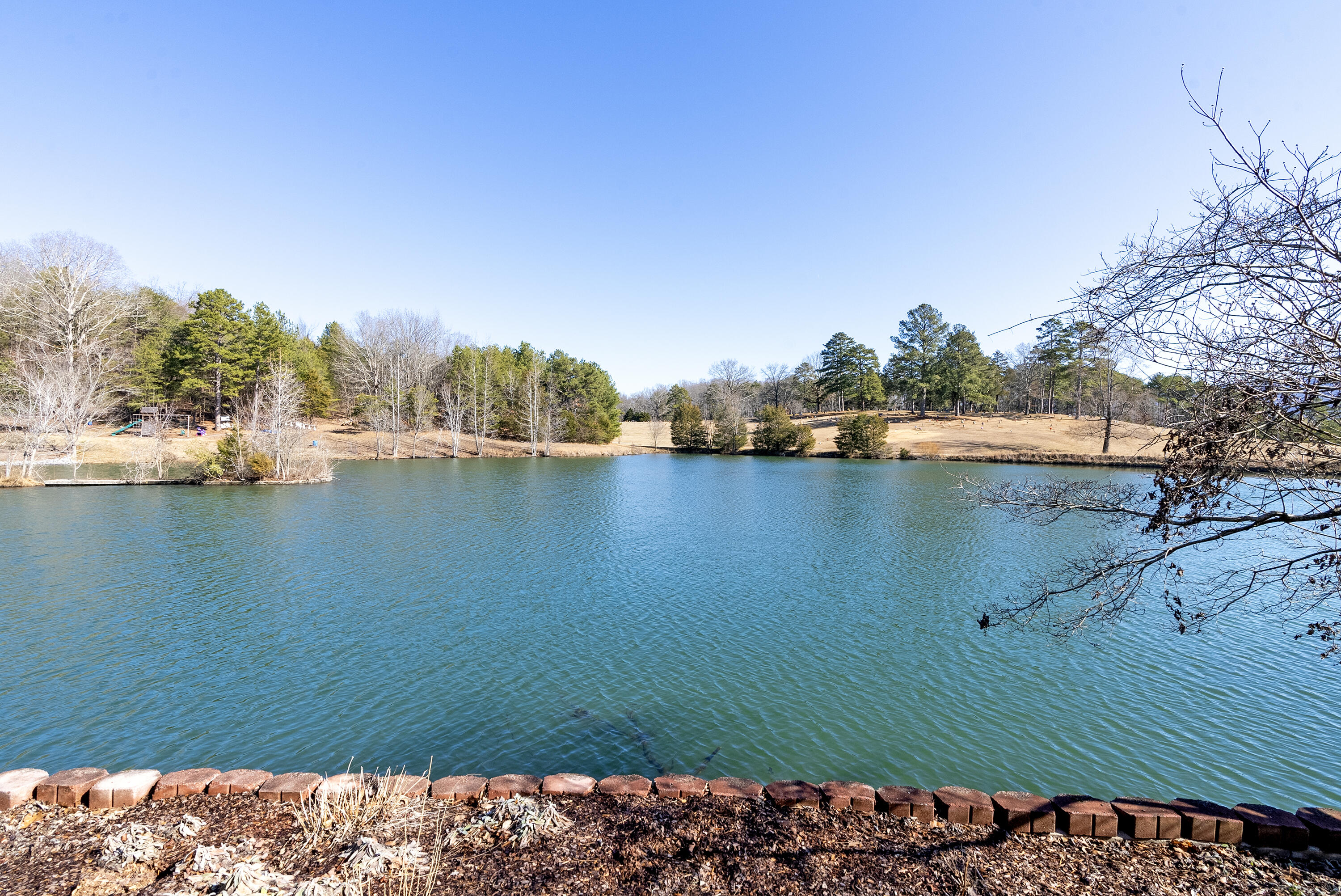 294 Lake Hills Drive, Trenton, Georgia image 5