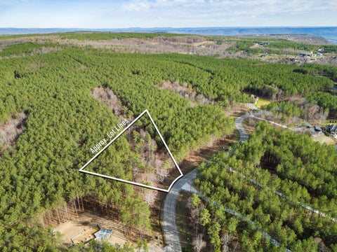 Vacant Land For Sale - Raulston Falls Road<br/> Jasper, TN 37347
