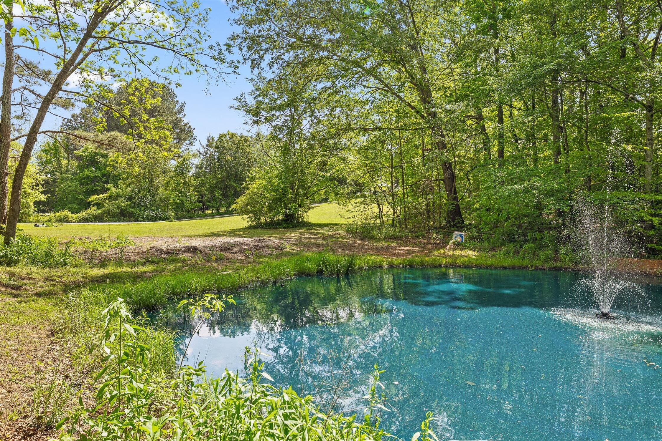 915 Old Three Notch Road, Ringgold, Georgia image 31