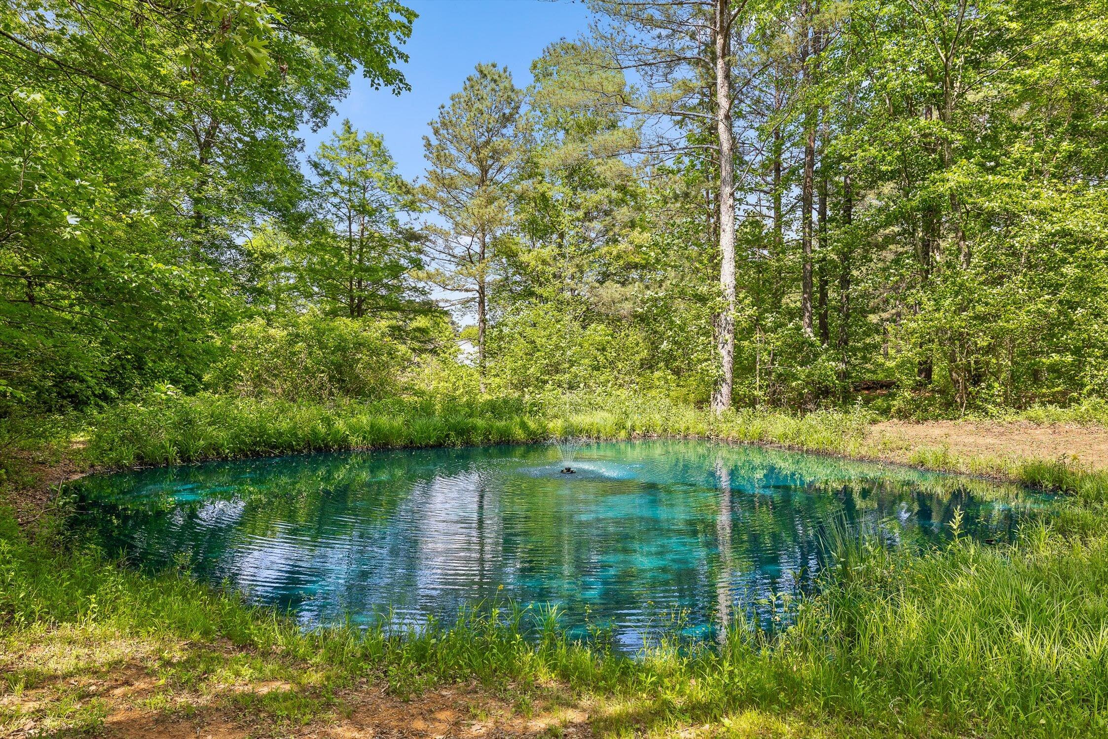 915 Old Three Notch Road, Ringgold, Georgia image 30