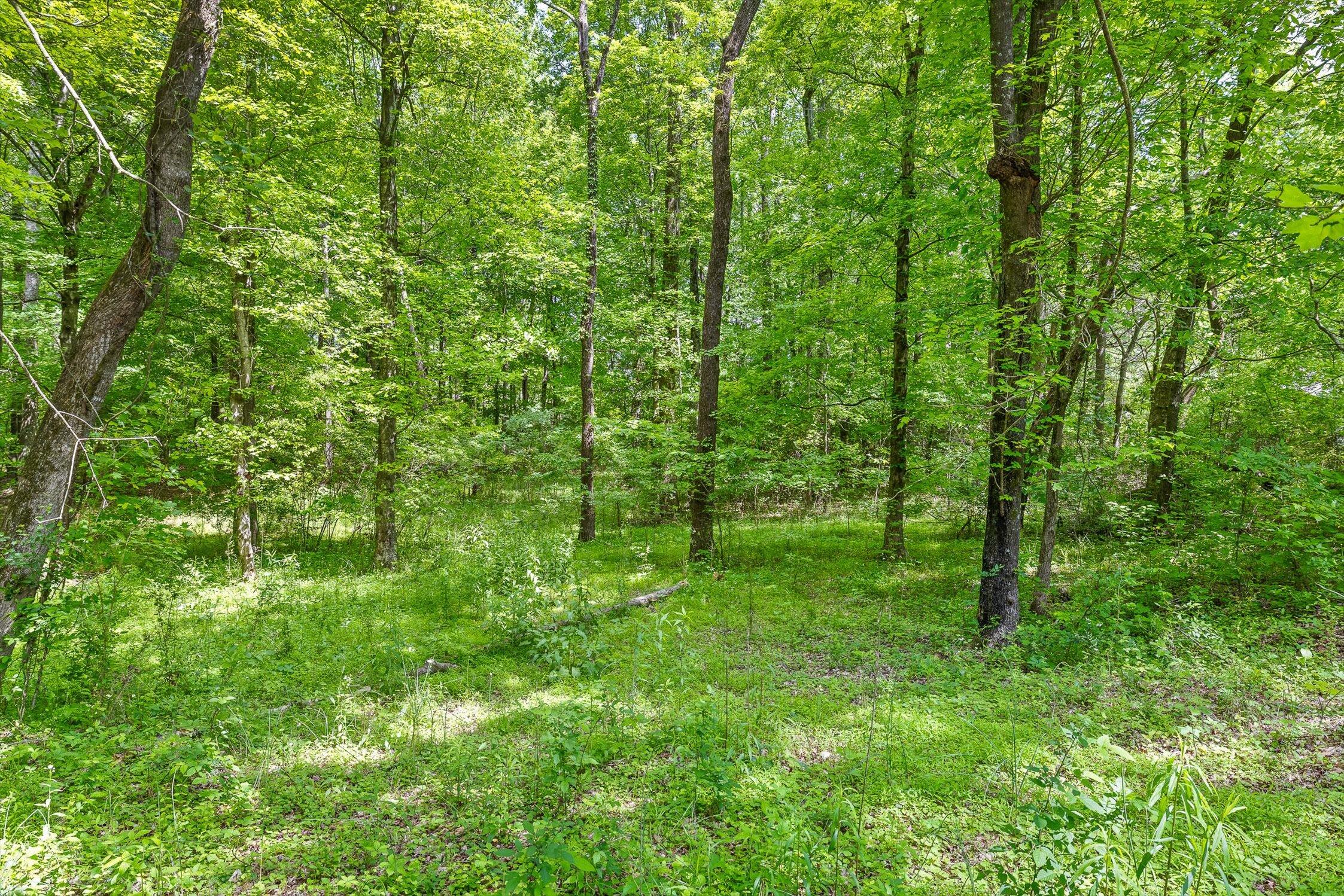 915 Old Three Notch Road, Ringgold, Georgia image 32