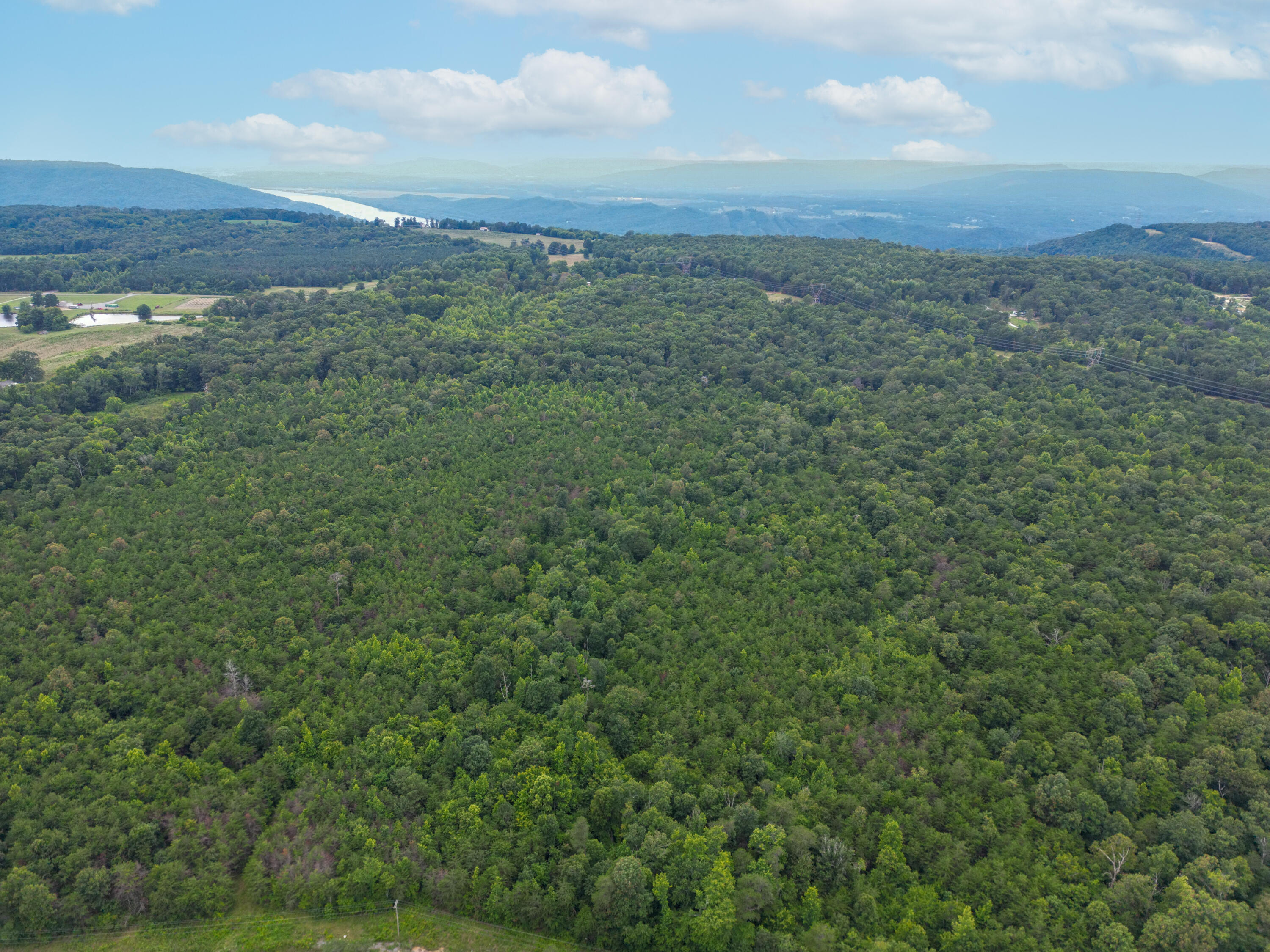 Bryant, Alabama 35958, United States, ,Land,Active,222918