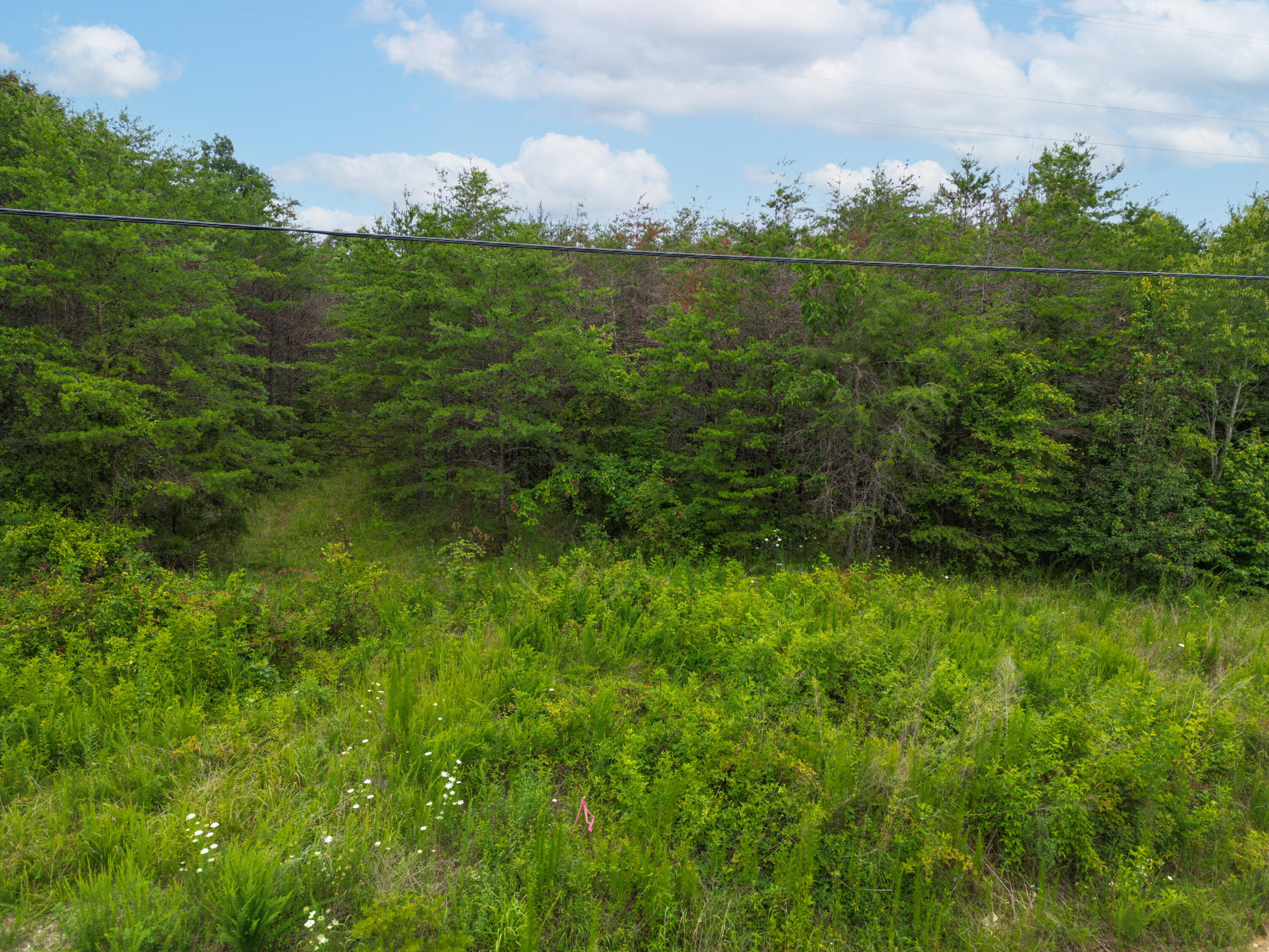 Bryant, Alabama 35958, United States, ,Land,Active,222918