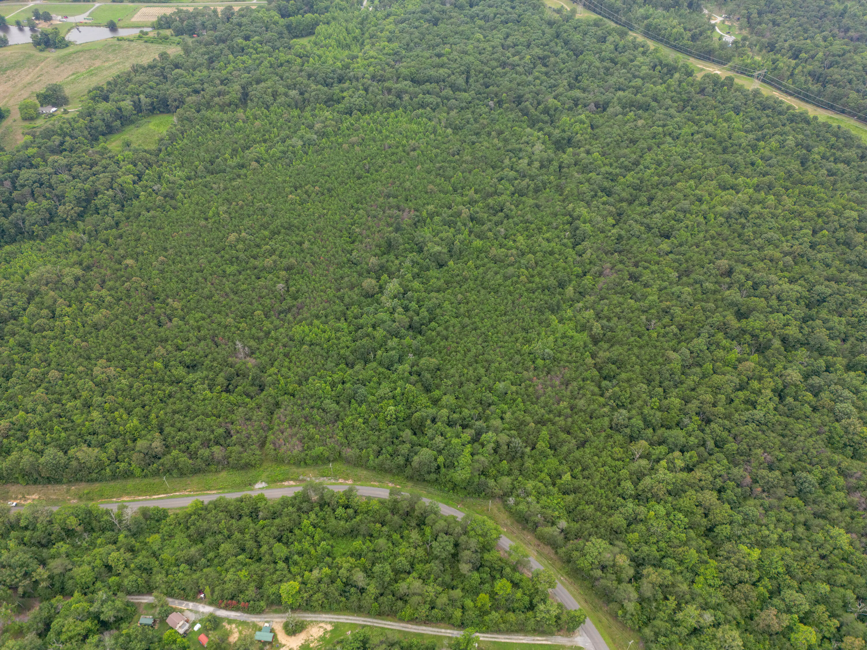 Bryant, Alabama 35958, United States, ,Land,Active,222918