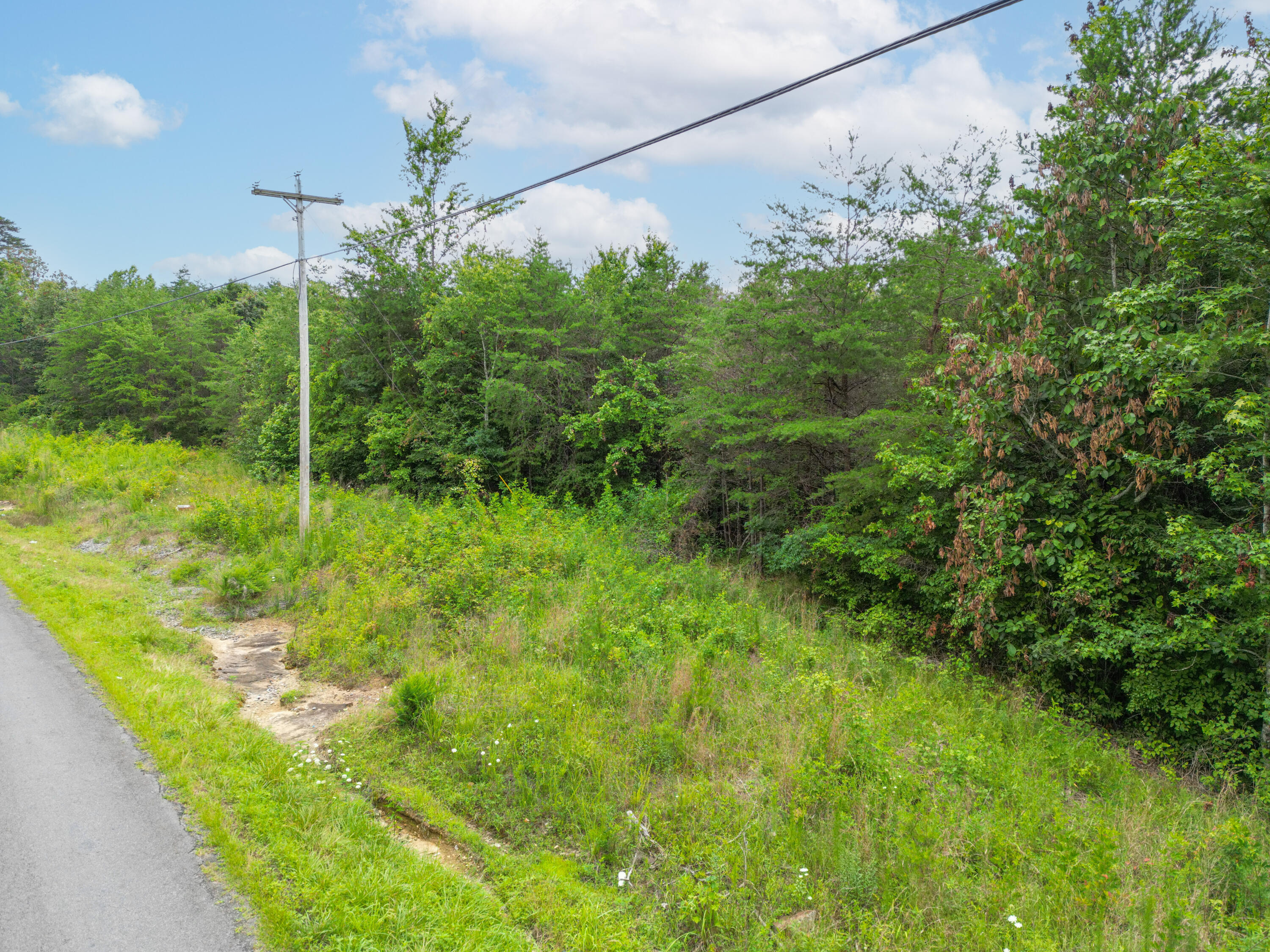 Bryant, Alabama 35958, United States, ,Land,Active,222918