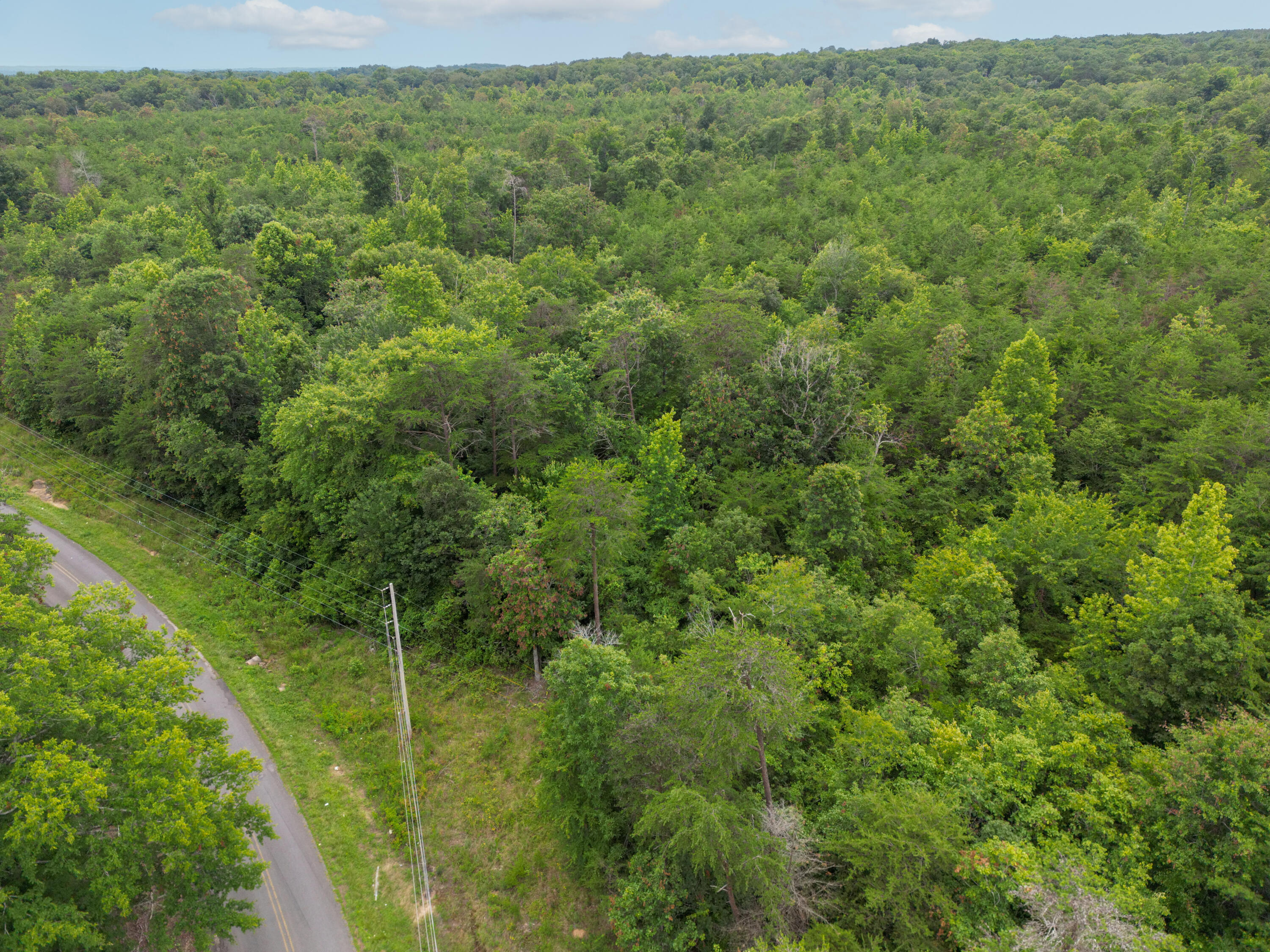 Bryant, Alabama 35958, United States, ,Land,Active,222918