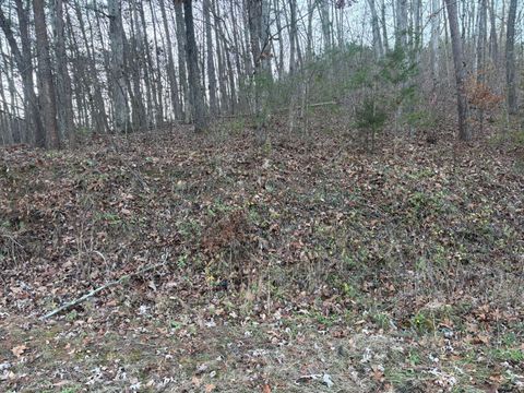 Tiny photo for 0 Twin Lakes Road, LaFayette, GA 30728 (MLS # 1513470)