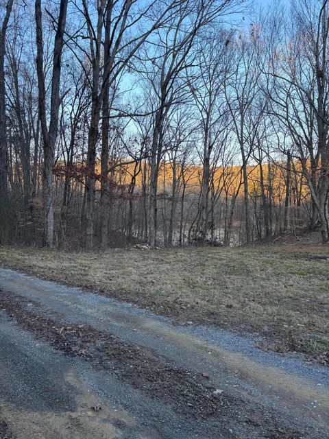 Tiny photo for 0 Twin Lakes Road, LaFayette, GA 30728 (MLS # 1513470)