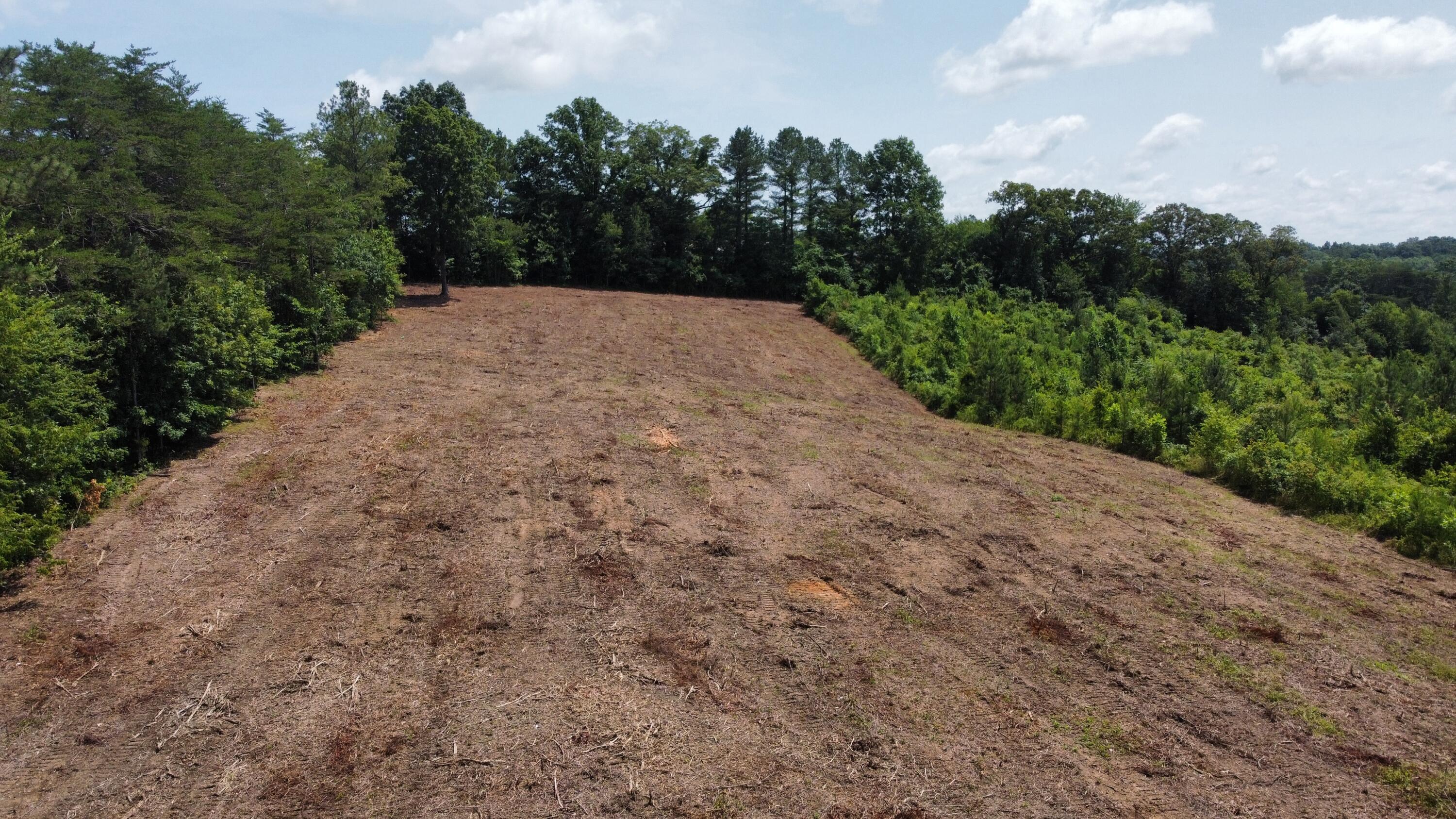3 Lake Road, Spring City, Tennessee image 15