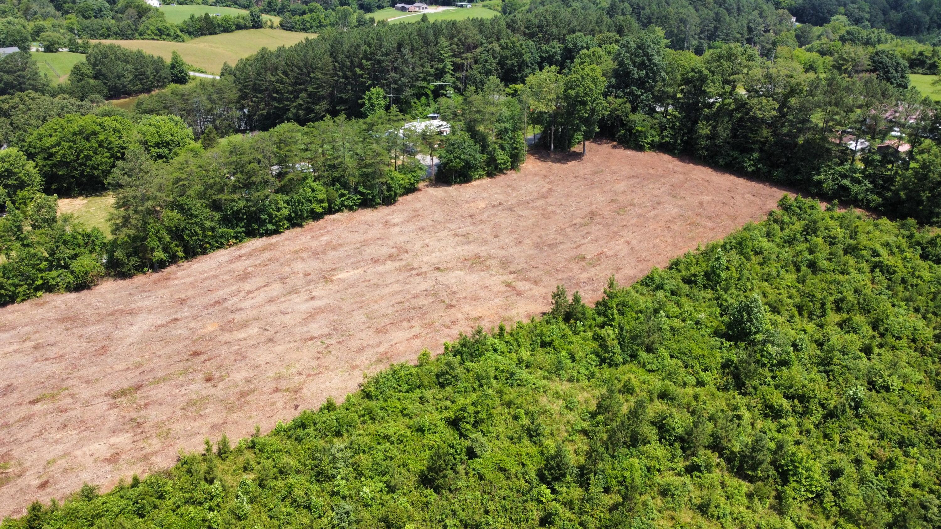 3 Lake Road, Spring City, Tennessee image 9