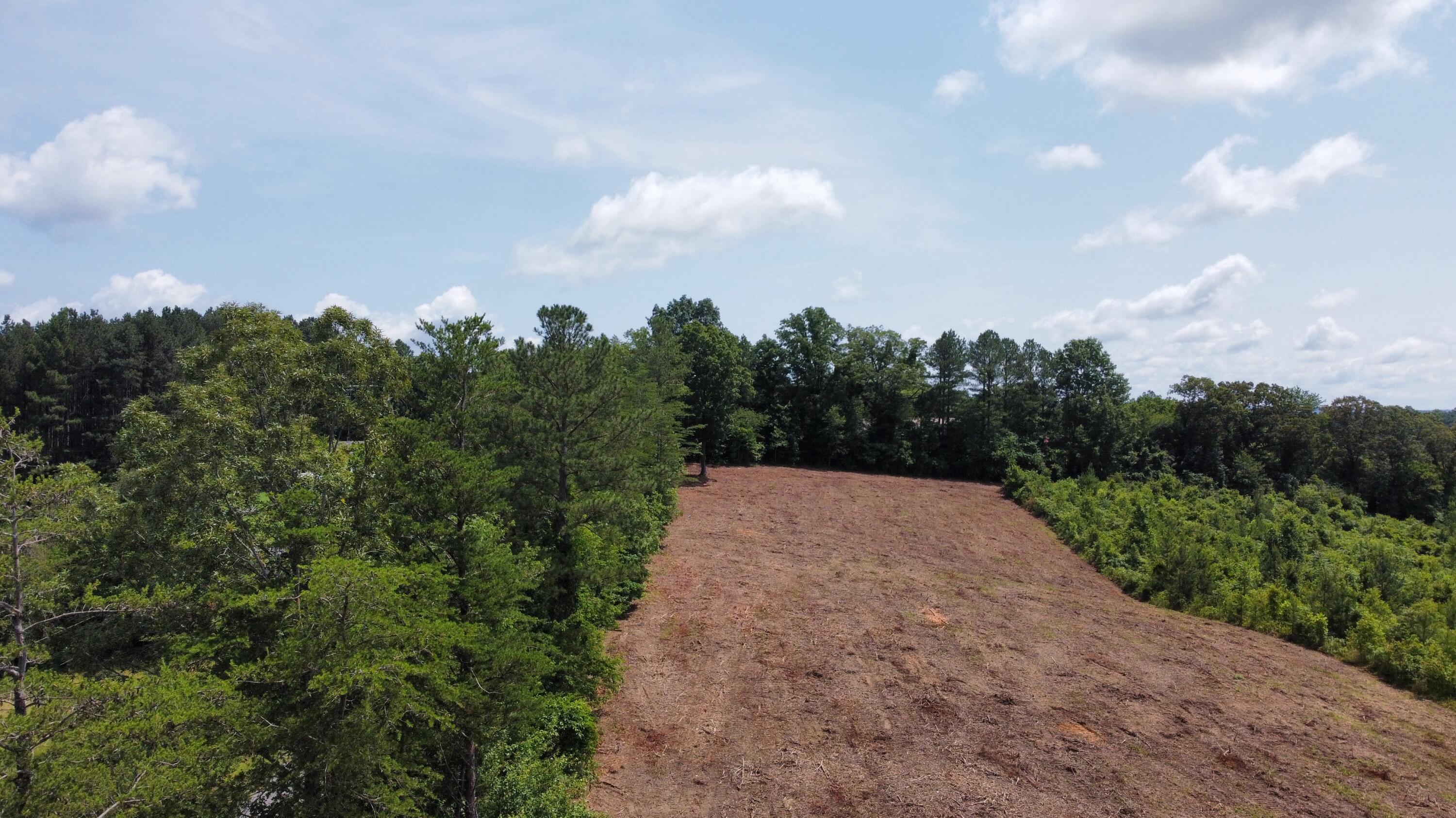 3 Lake Road, Spring City, Tennessee image 5