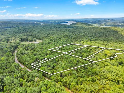 Vacant Land For Sale - LOT 31 Armstrong Ferry Road<br/> Meigs County, Decatur, TN 37322
