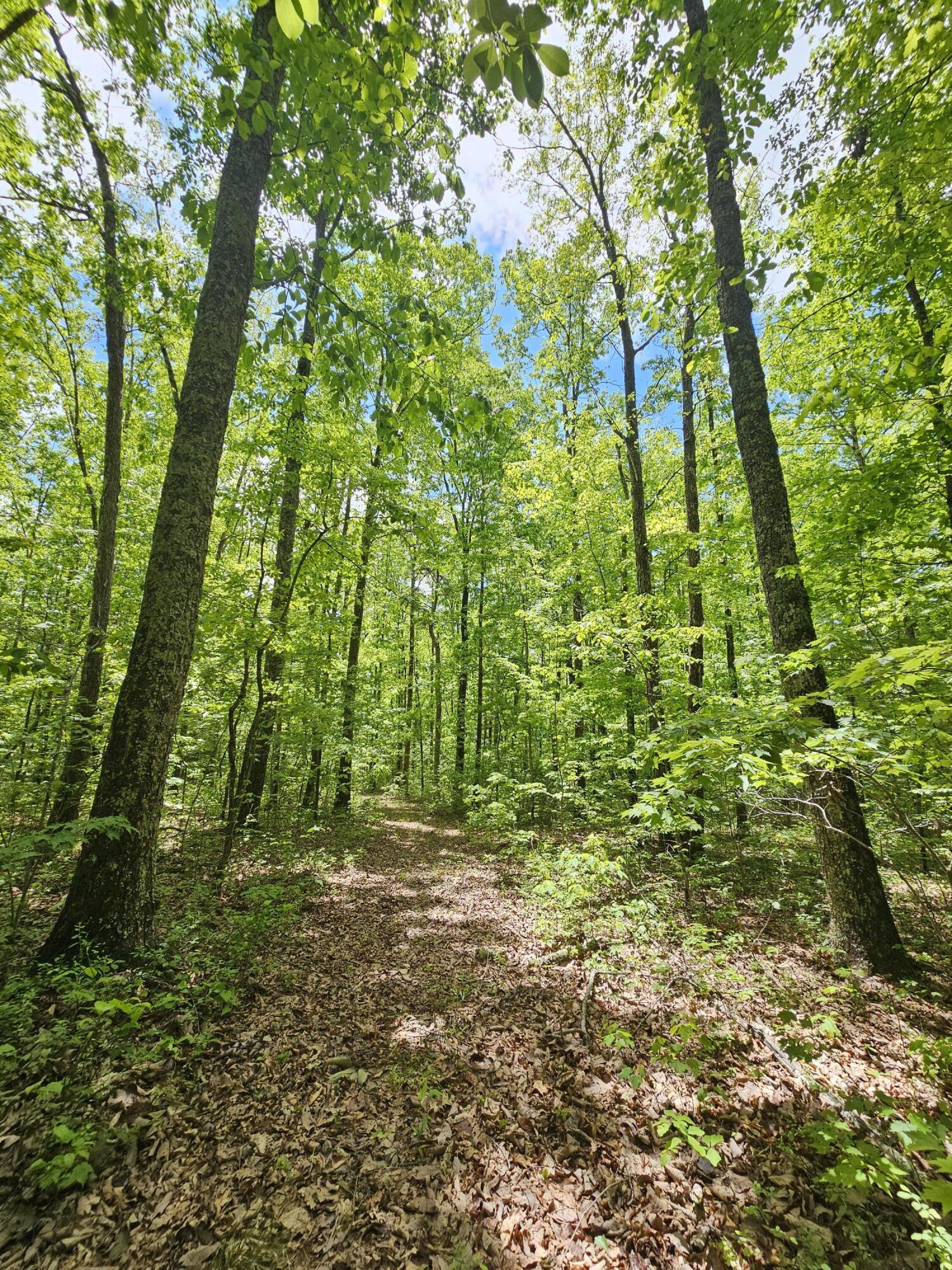 6 Boulder Lake Drive Nw4b