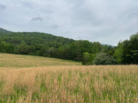 Photo of 235 Allison Hill Road, Pikeville, TN 37367 (MLS # 1511777)