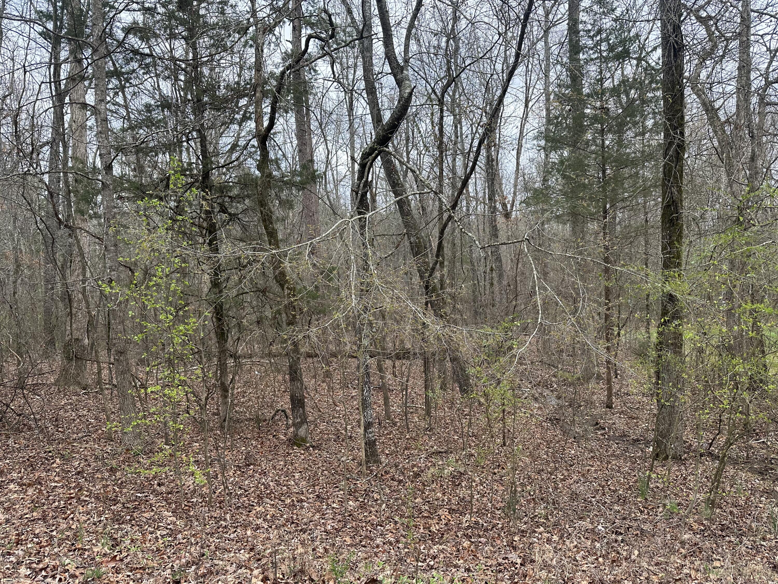 235 Allison Hill Road, Pikeville, Tennessee image 1
