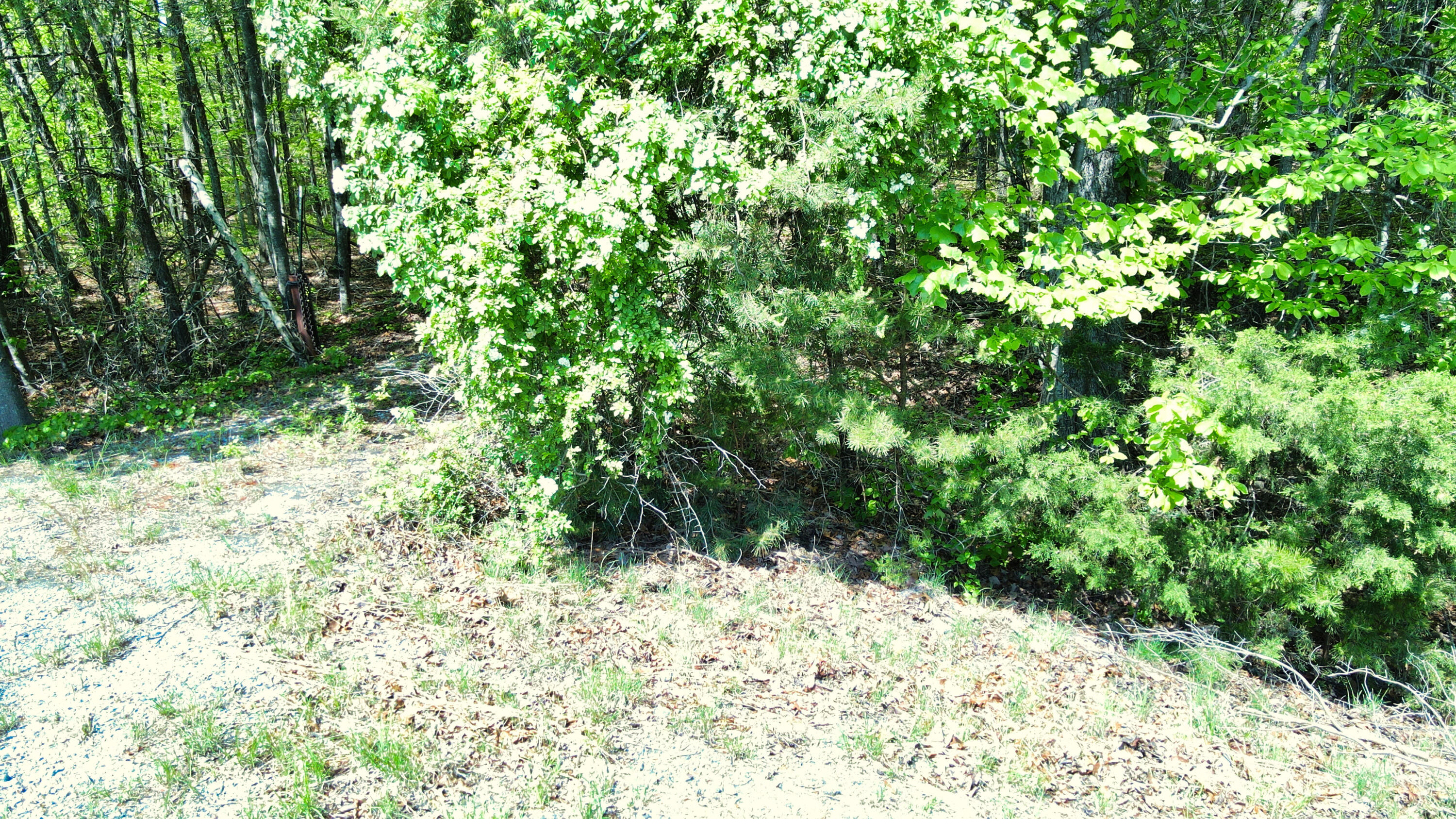 157 Highway #24 ACRES, Menlo, Georgia image 25