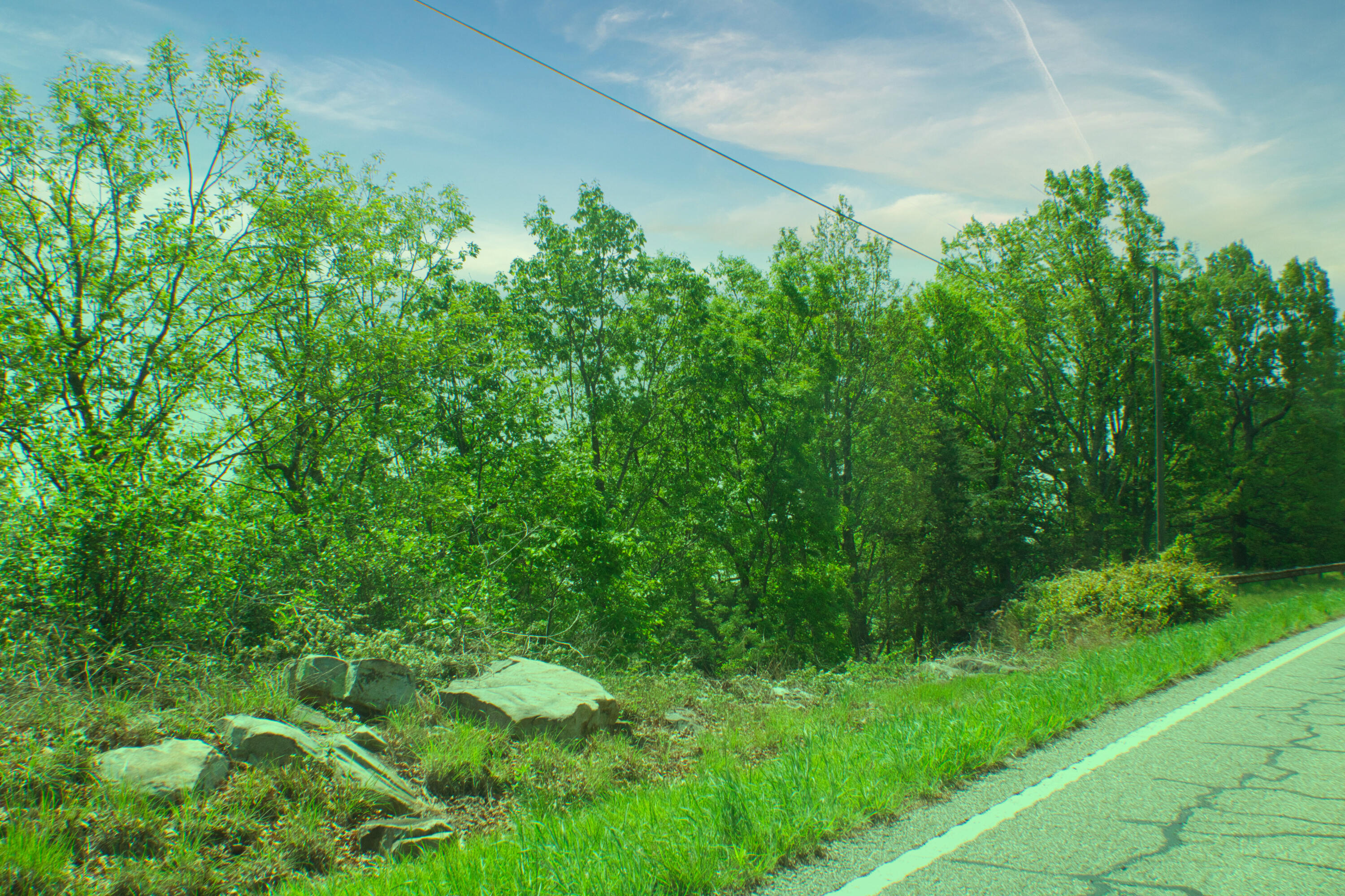 157 Highway #24 ACRES, Menlo, Georgia image 5