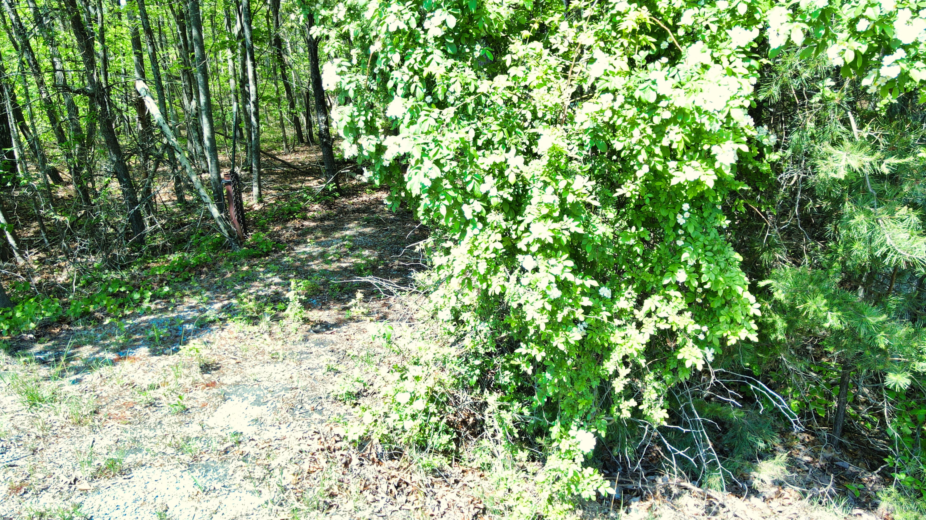 157 Highway #24 ACRES, Menlo, Georgia image 26