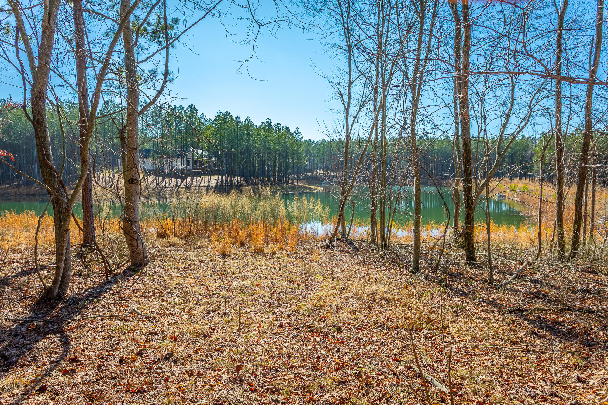 Cherokee Path #242, Jasper, Tennessee image 9