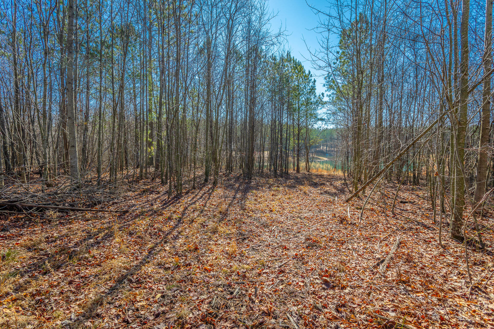 Cherokee Path #242, Jasper, Tennessee image 10