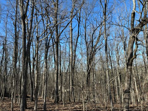 Tiny photo for 239 Amherst Lane, Crossville, TN 38558 (MLS # 1528976)