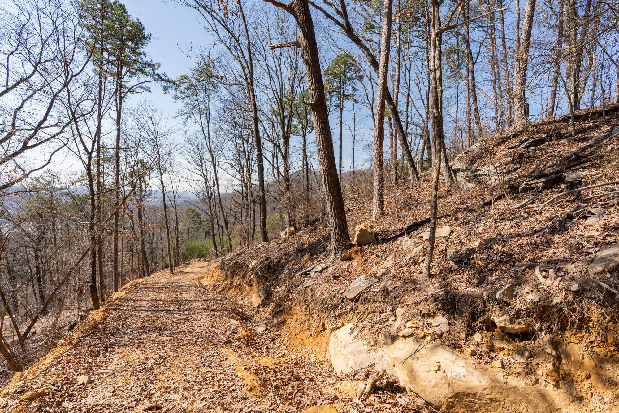 134 Hamilton Avenue, Soddy Daisy, Tennessee image 22