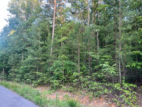 Photo of 45 Wohalie Lane, South Pittsburg, TN 37380 (MLS # 1520641)