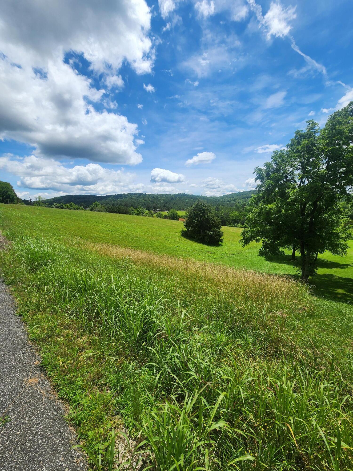 Goodfield Terrace #25, Decatur, Tennessee image 3