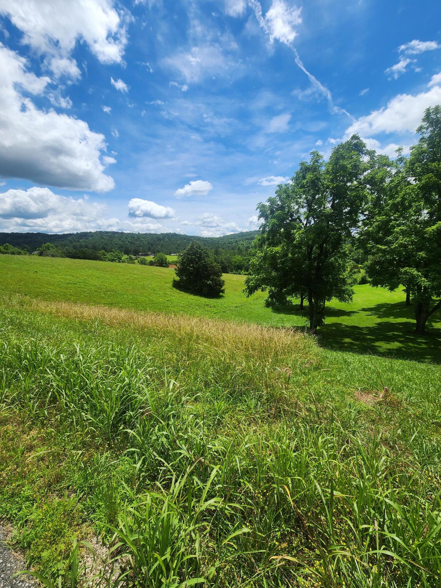 Goodfield Terrace #25, Decatur, Tennessee image 2