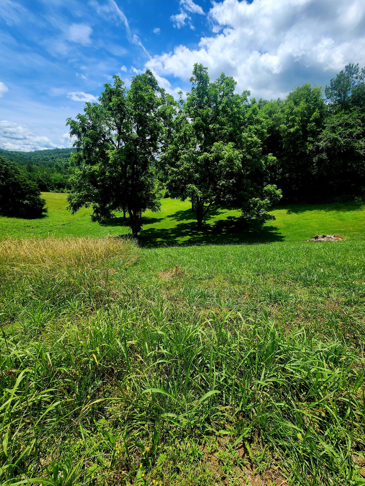 Goodfield Terrace #25, Decatur, Tennessee image 1