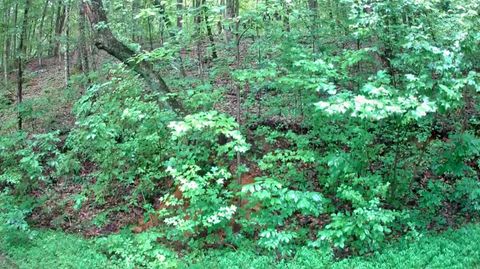 Photo of 0 Tn-156, South Pittsburg, TN 37380 (MLS # 1516461)