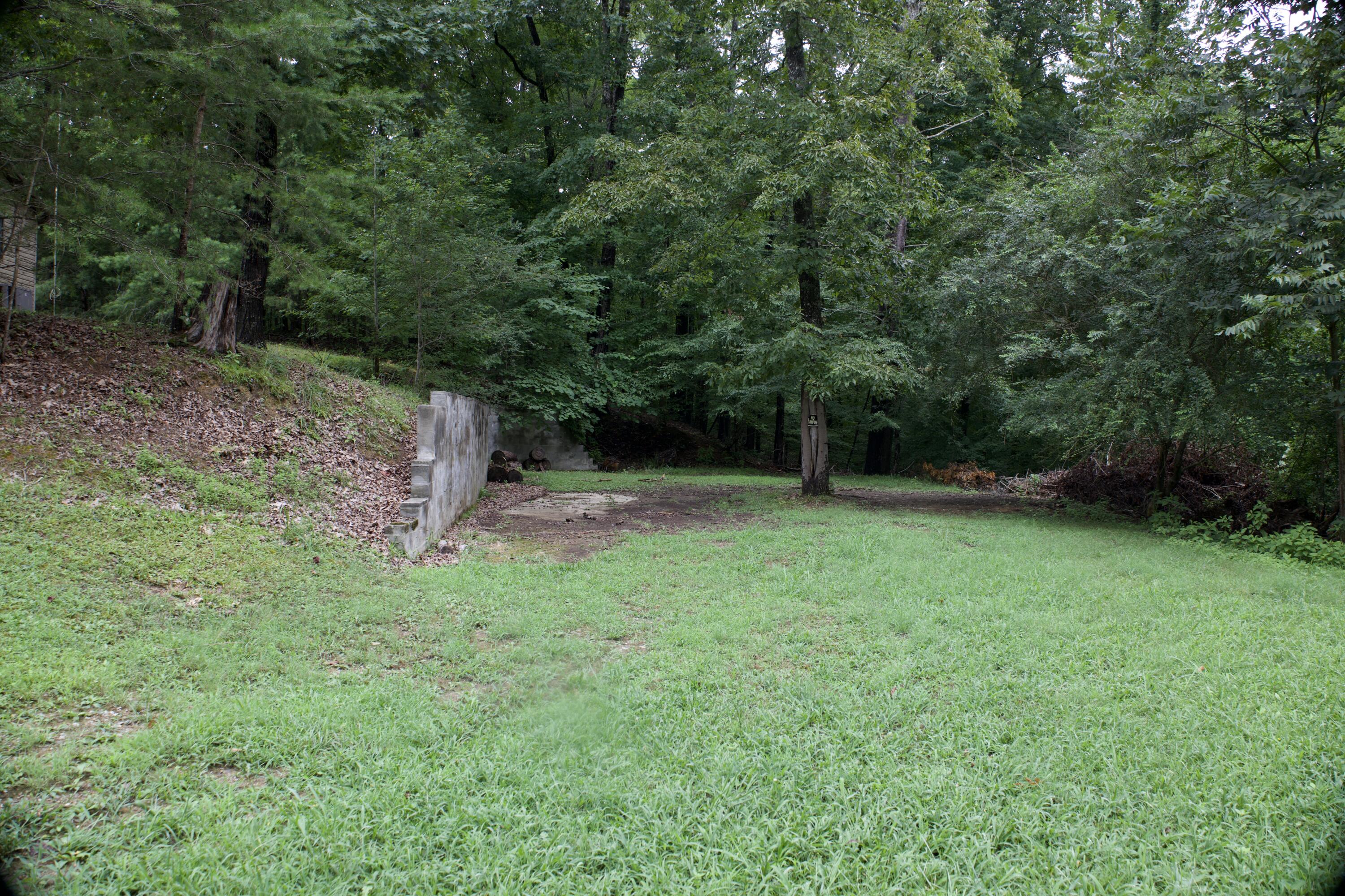 Apollo Drive, Spring City, Tennessee image 41