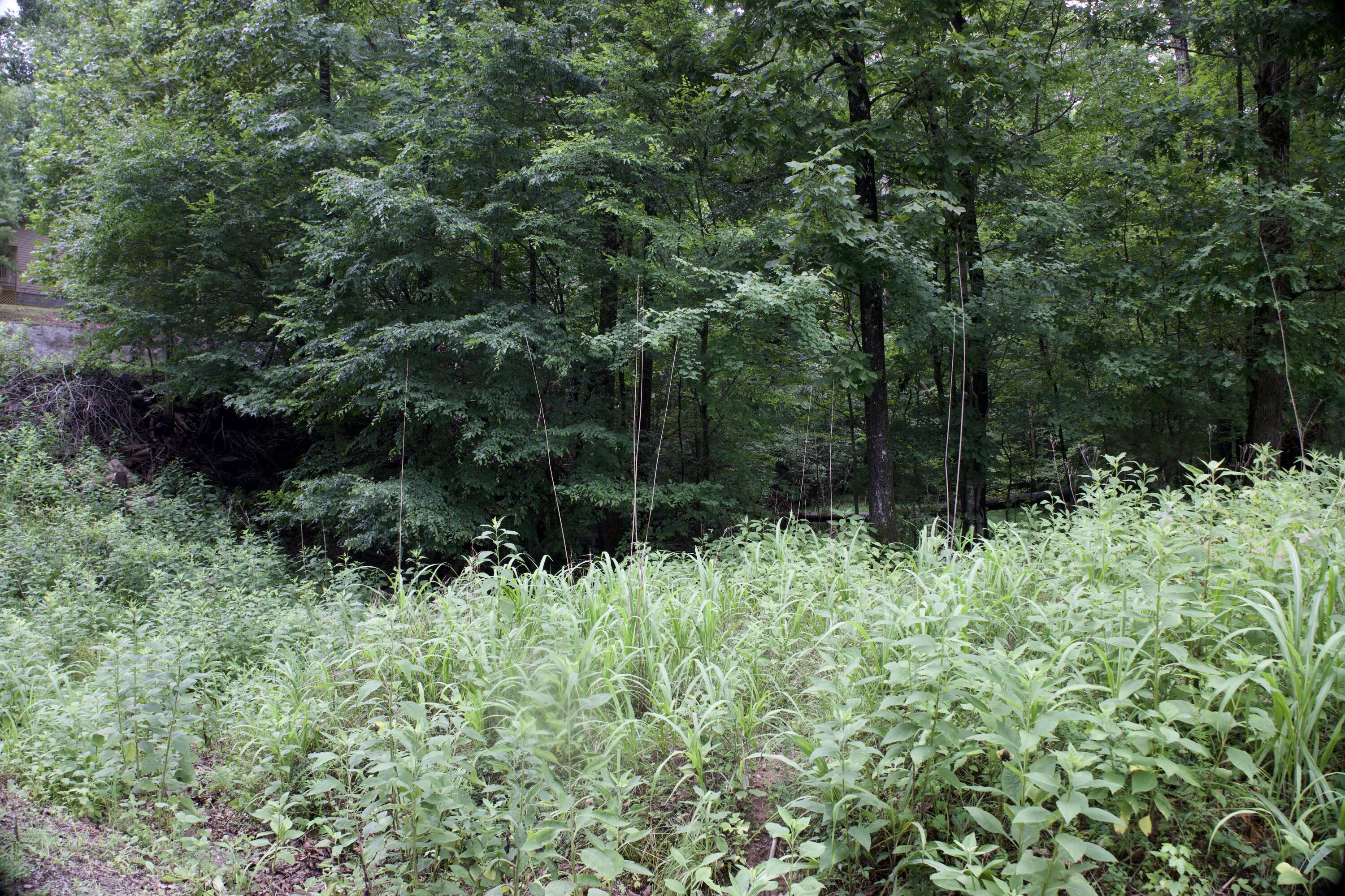 Apollo Drive, Spring City, Tennessee image 44