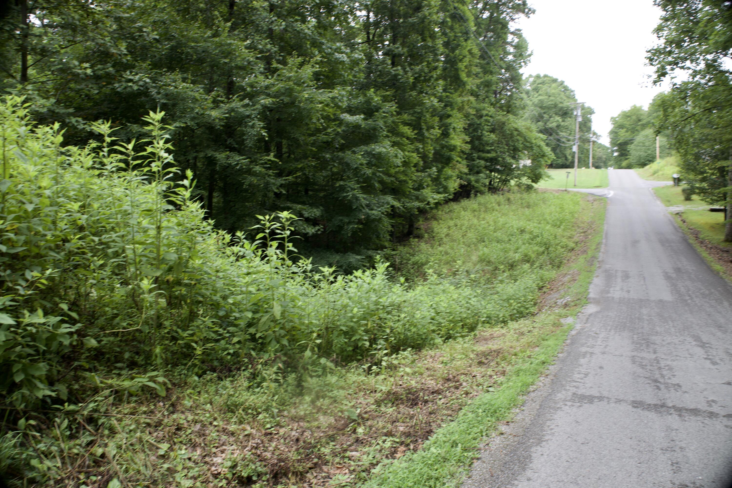 Apollo Drive, Spring City, Tennessee image 46