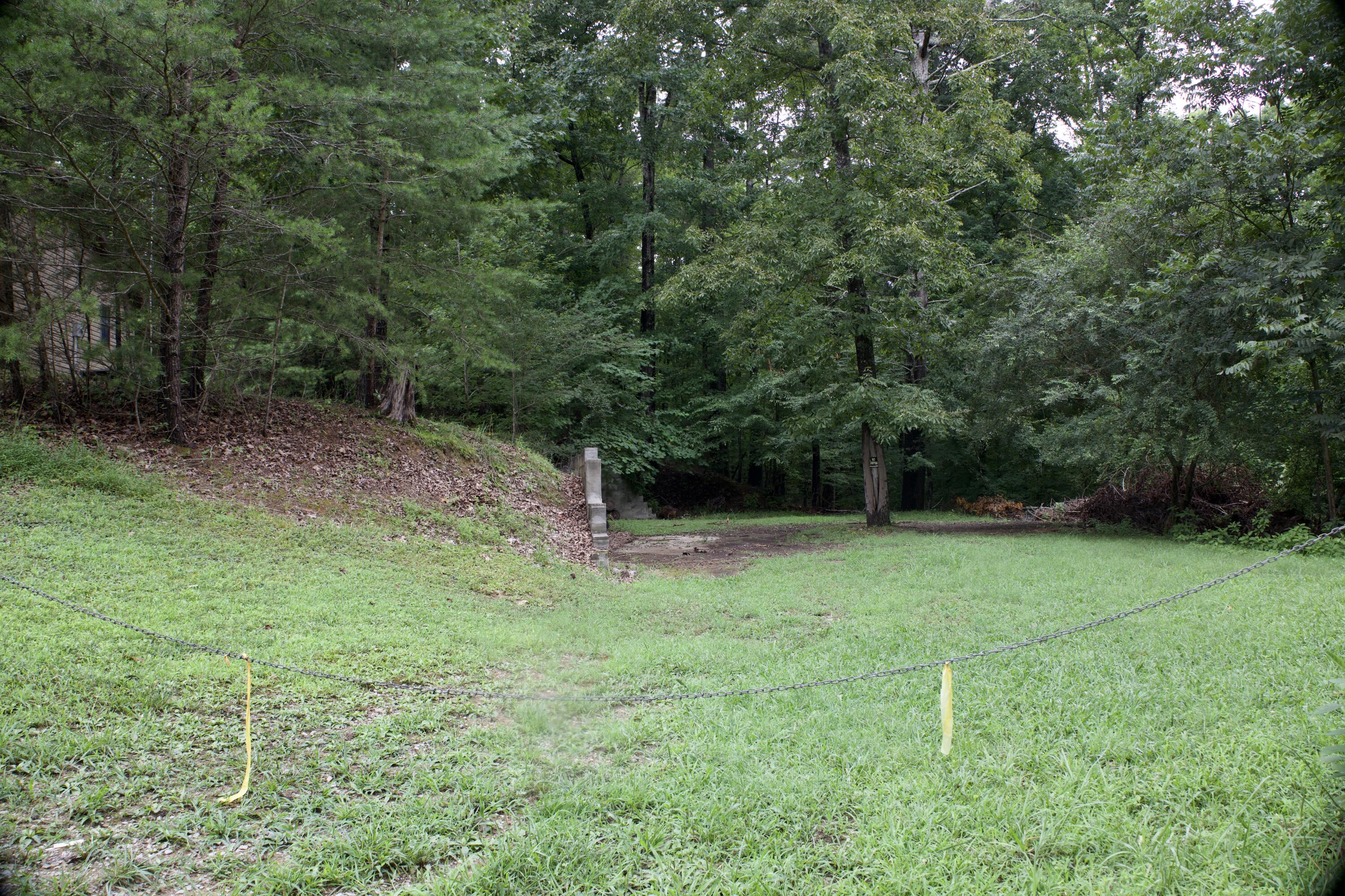 Apollo Drive, Spring City, Tennessee image 42