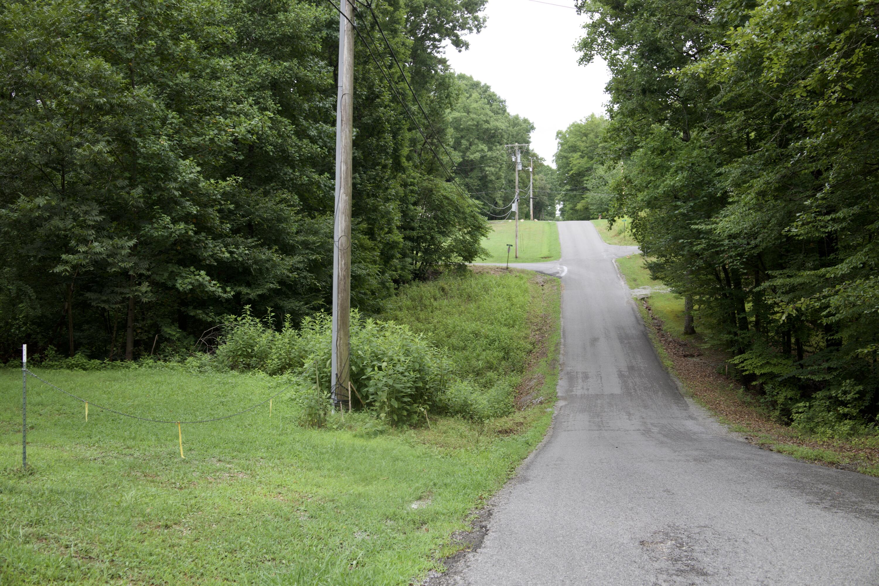 Apollo Drive, Spring City, Tennessee image 37