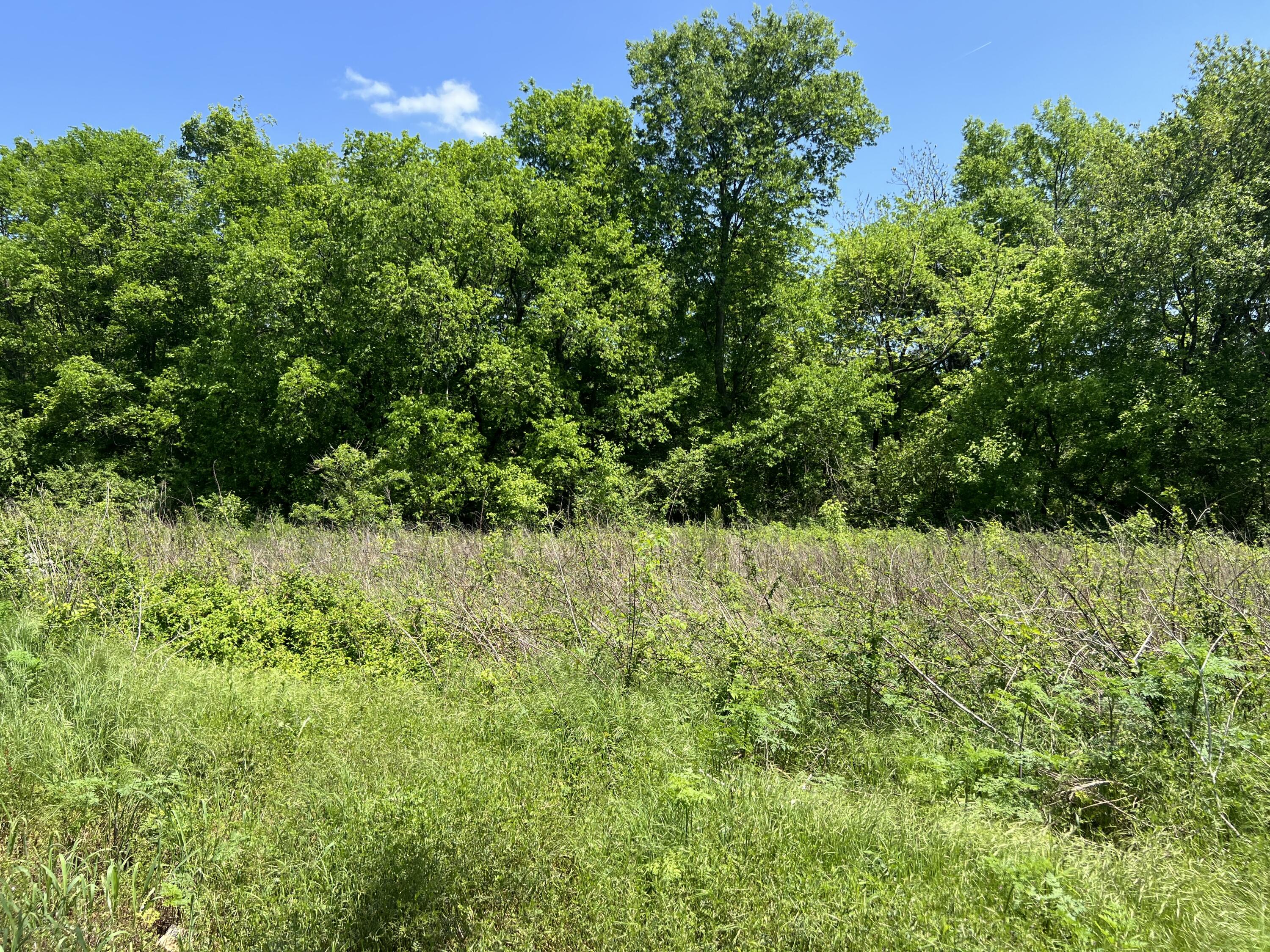 Hwy 11, Riceville, Tennessee image 3