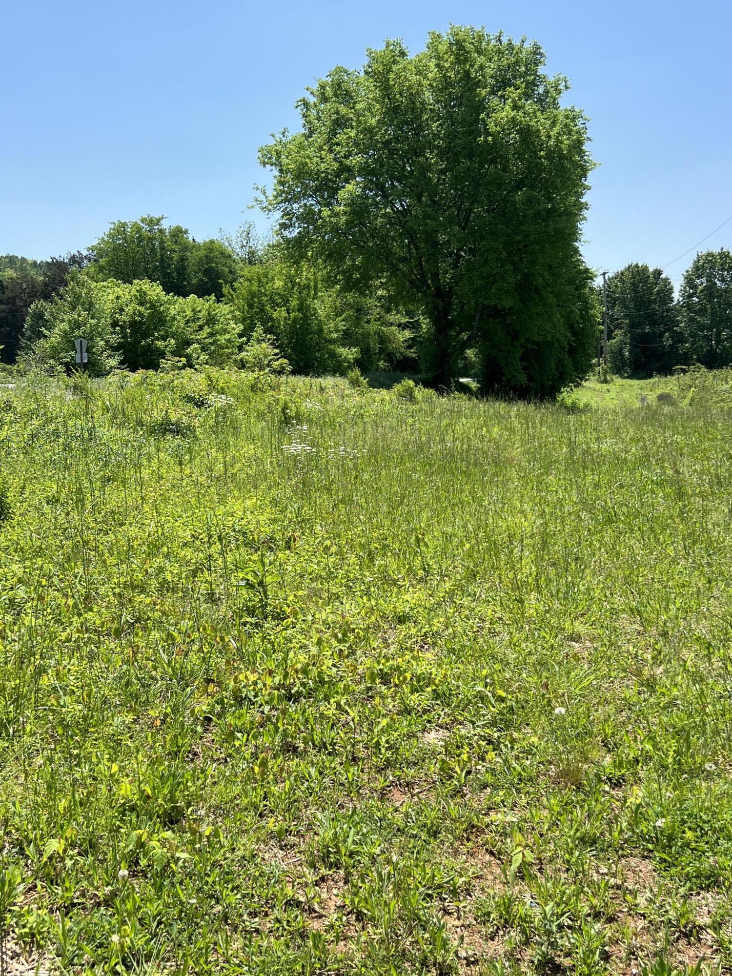 Hwy 11, Riceville, Tennessee image 8